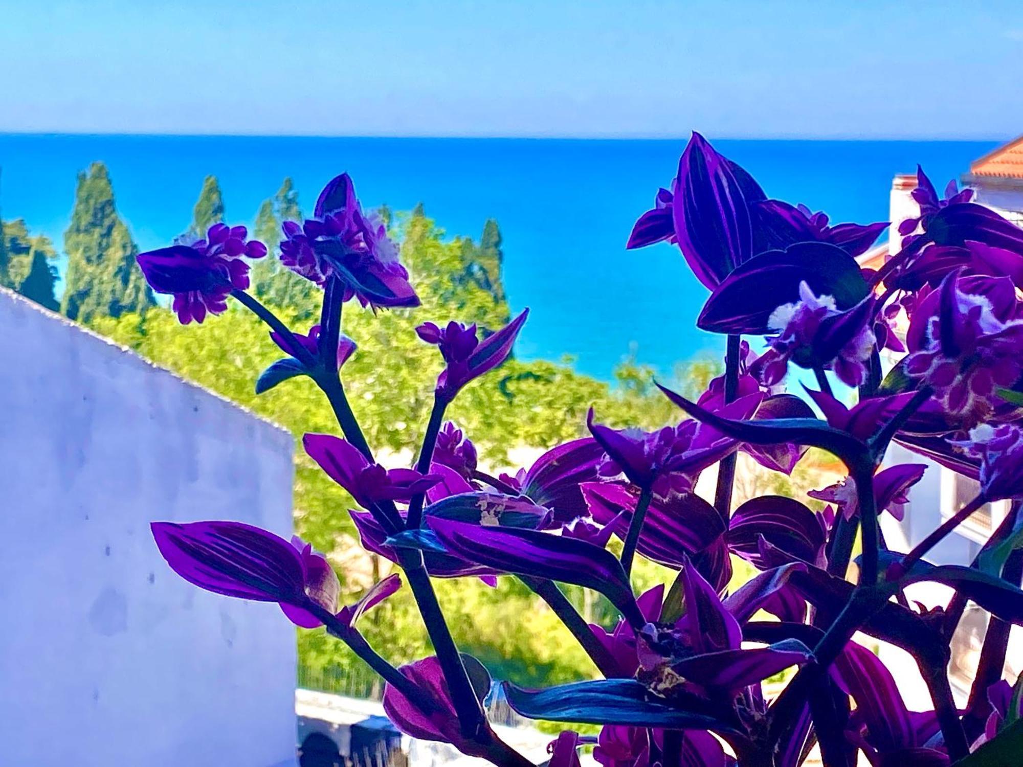 Casazzurra Appartement Ortona Buitenkant foto